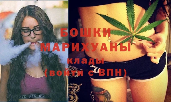 МДПВ Бронницы