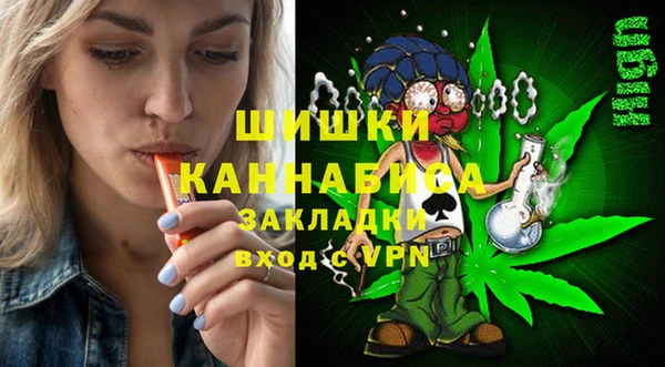 МДПВ Бронницы