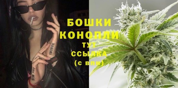 МДПВ Бронницы