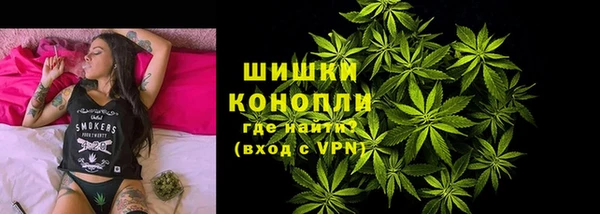 МДПВ Бронницы