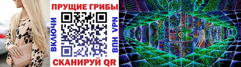 Псилоцибиновые грибы Cubensis Киселёвск
